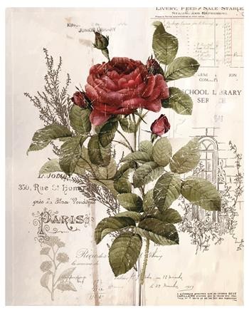 Transferfolien Botanical Rose
